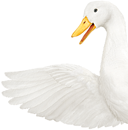 Aflac duck waving it's wings