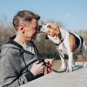 Dog licks owner on the face