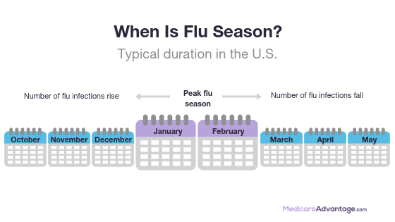 When is flu season graphic