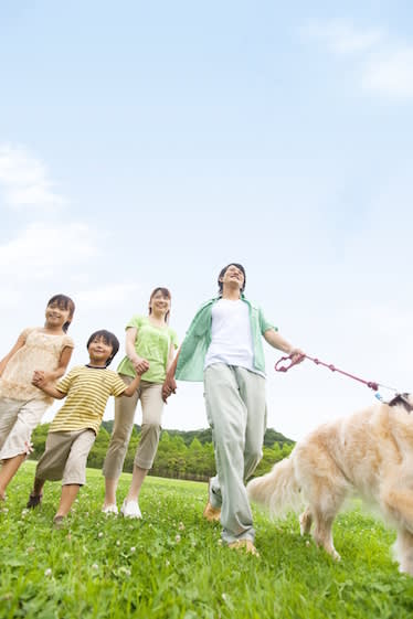 Family walks in park with dog