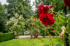 Deine Traumhochzeit - Fallback Bild