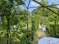 Deine Traumhochzeit - Fallback Bild