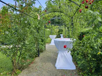 Deine Traumhochzeit - Fallback Bild
