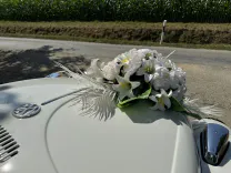 Deine Traumhochzeit - Fallback Bild