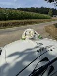 Deine Traumhochzeit - Fallback Bild