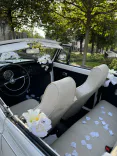 Deine Traumhochzeit - Fallback Bild
