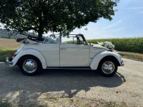 Deine Traumhochzeit - Fallback Bild