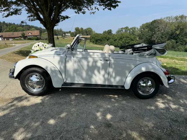 Deine Traumhochzeit - Fallback Bild