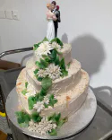 Deine Traumhochzeit - Fallback Bild