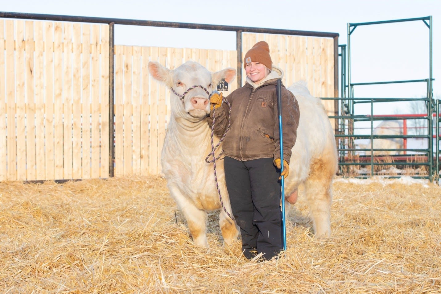 K-Cow Ranch #1