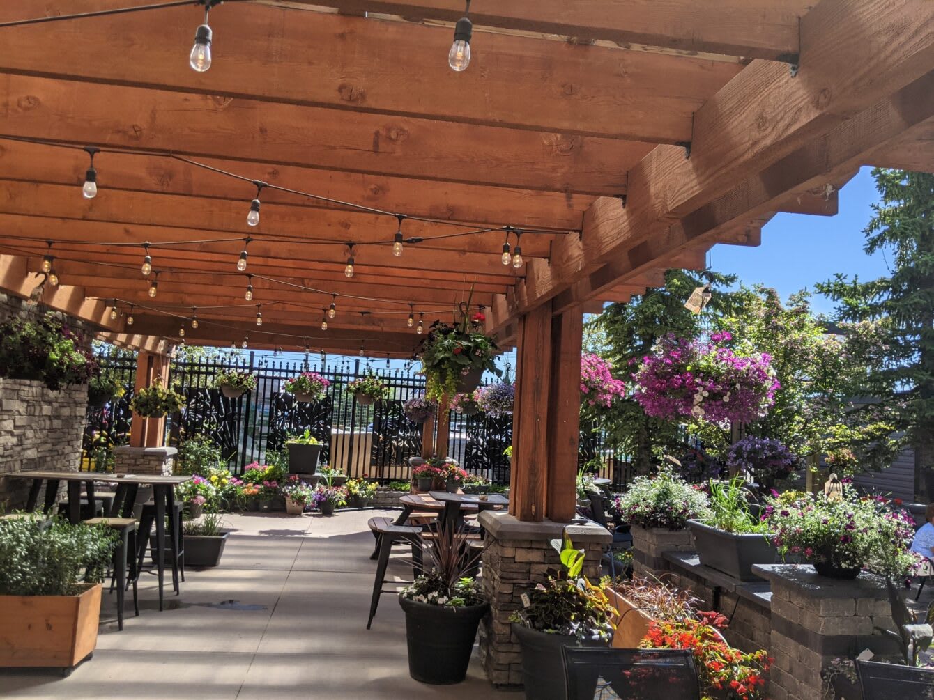 Timber Café (in Home Hardware) #3