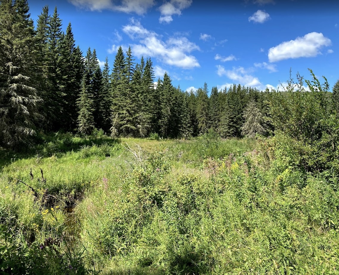 Long Lake Campground12