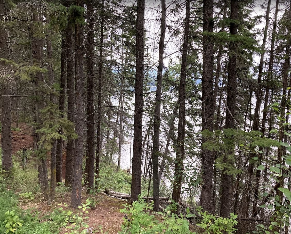Long Lake Campground13