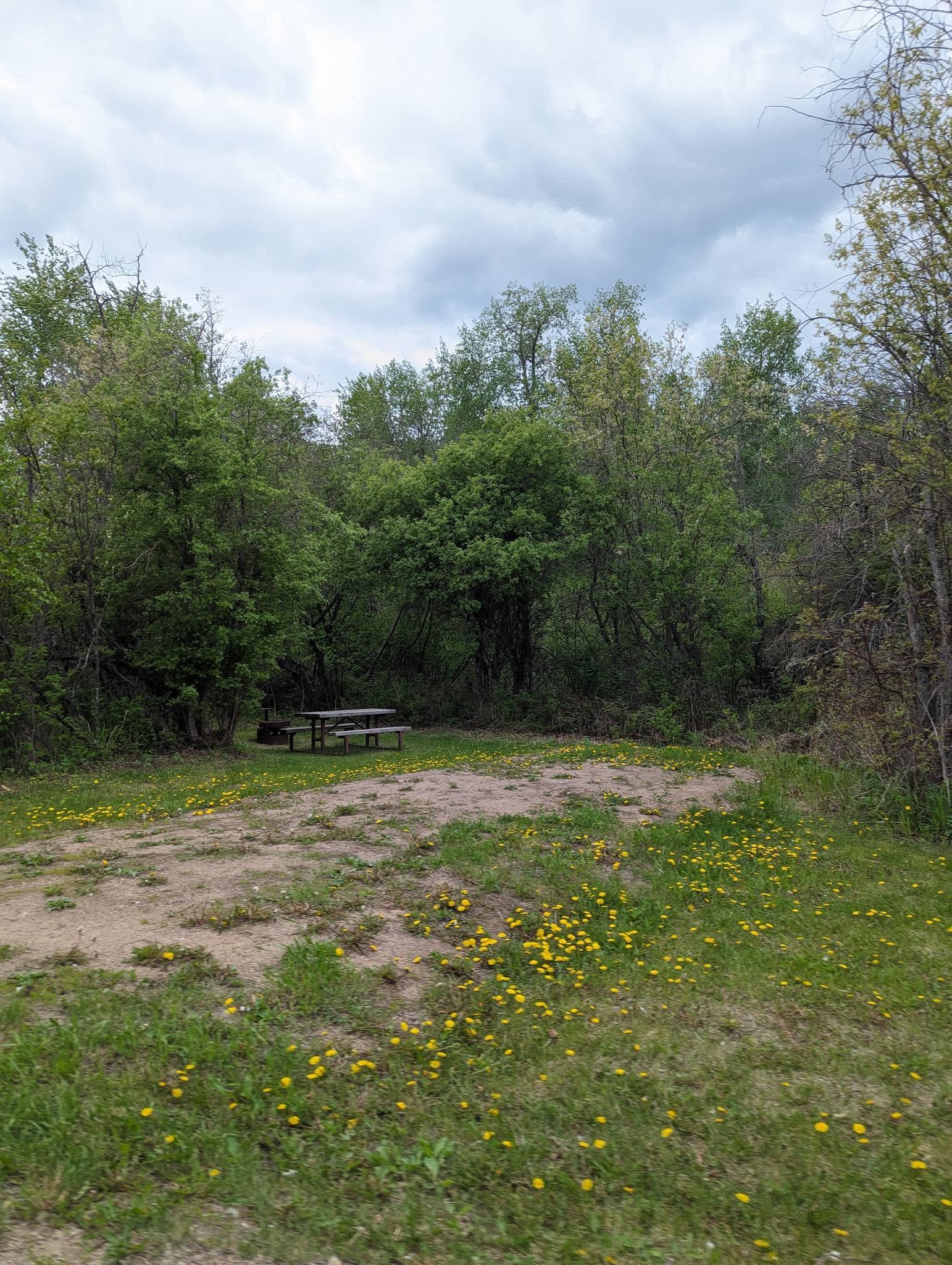 Ironwood Lake Campground #1