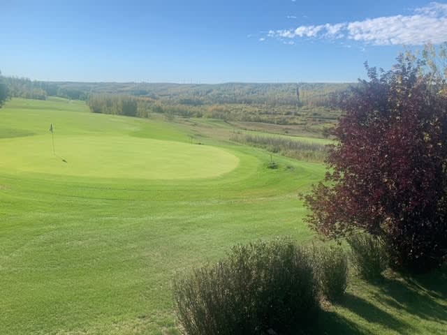 Mannville Riverview Golf Course #1