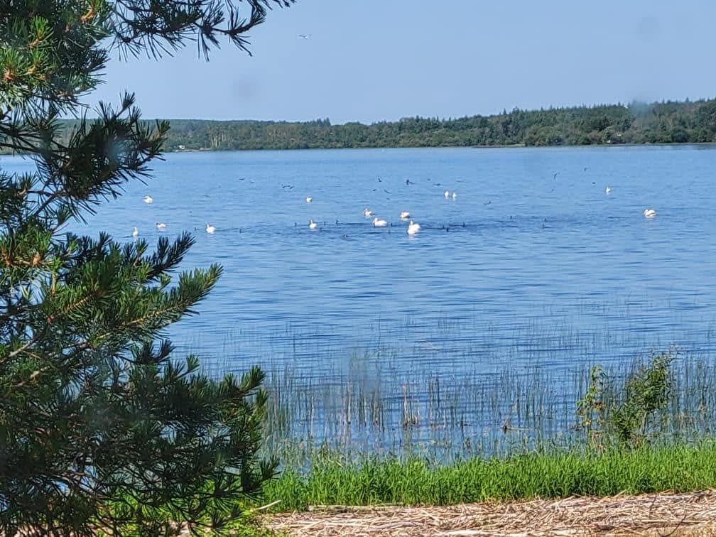 Manatokan Lake RV Campground #1