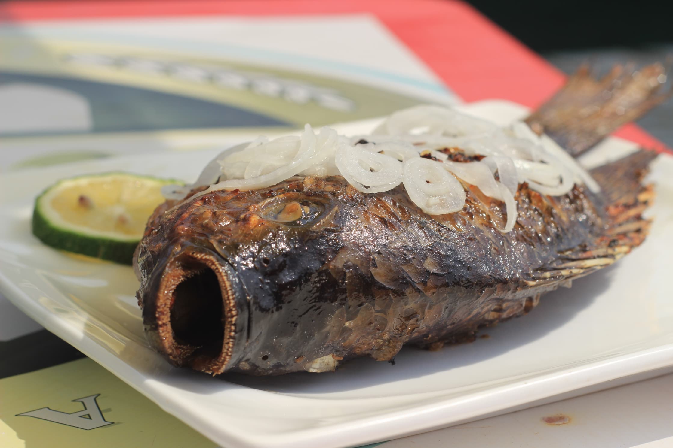 cheap flights - cheap travel destinations - Giant grilled fish in Rwanda