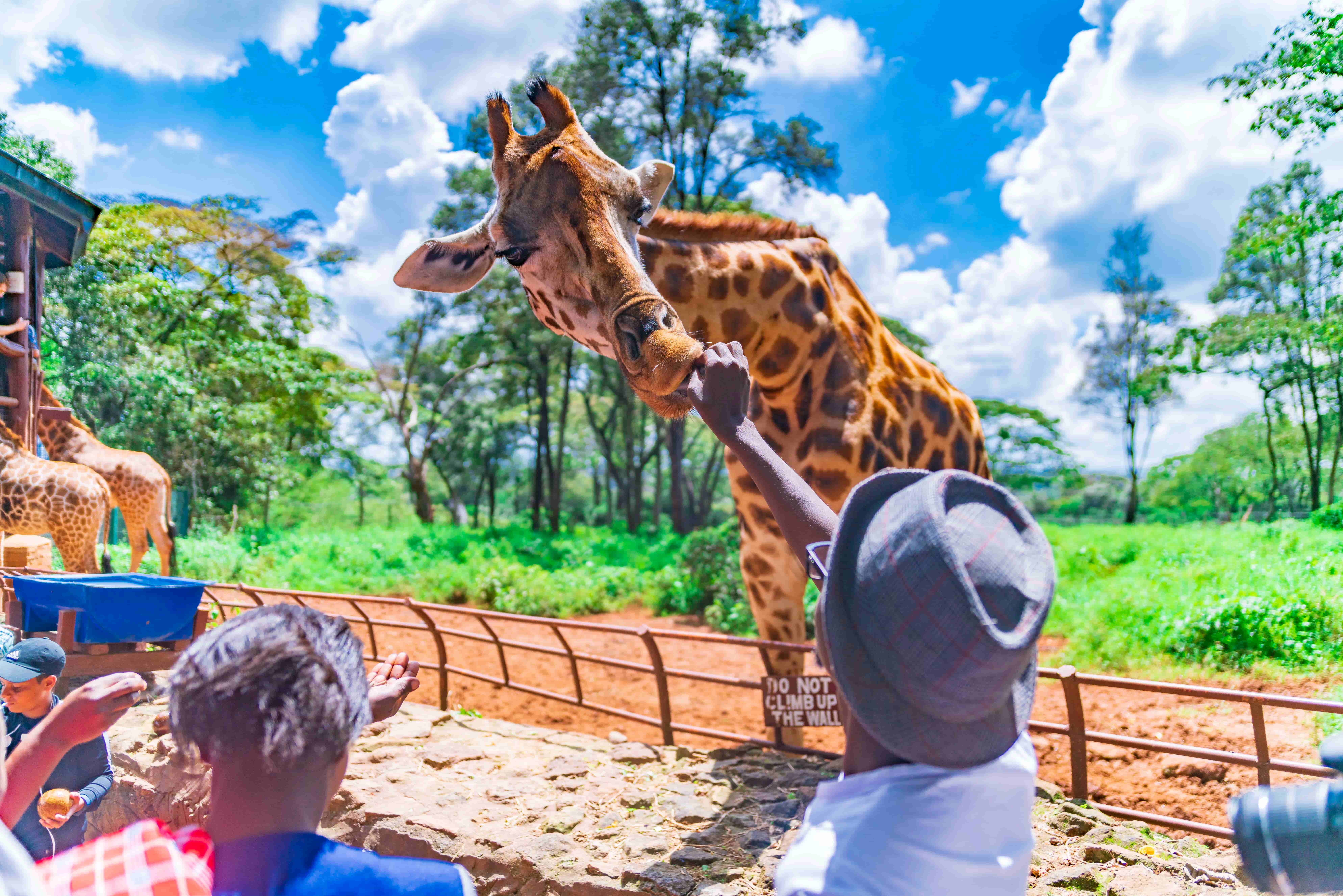 TOP AFRICAN DESTINATIONS TO VISIT - Visit Kenya wildlife reserves