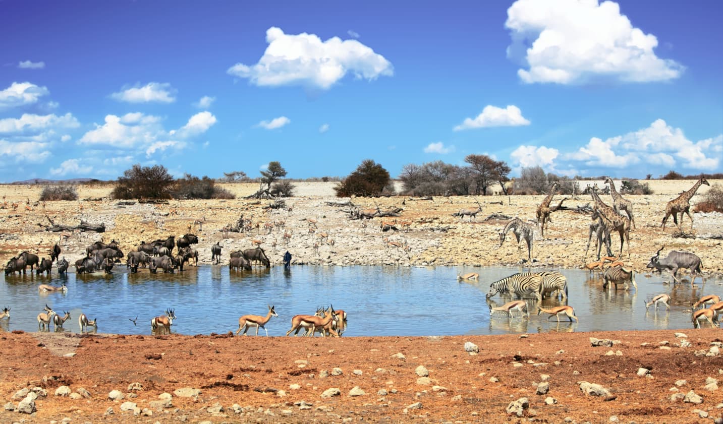 - Best Destinations for Female Solo Travellers in 2025