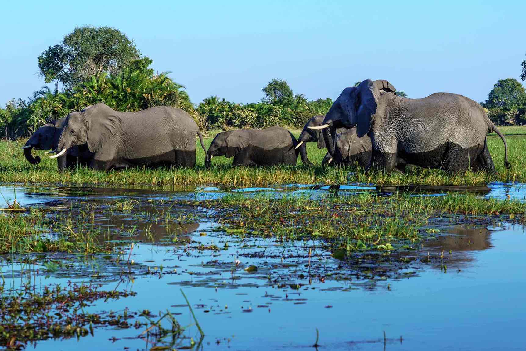 10 MOST UNFORGETTABLE HOLIDAY DESTINATIONS IN AFRICA TO EXPLORE ...