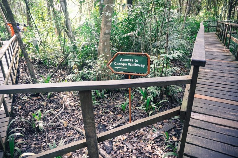Path to Lekki Conservation Centre Canopy Walkway - Lekki Conservation Center Reviews