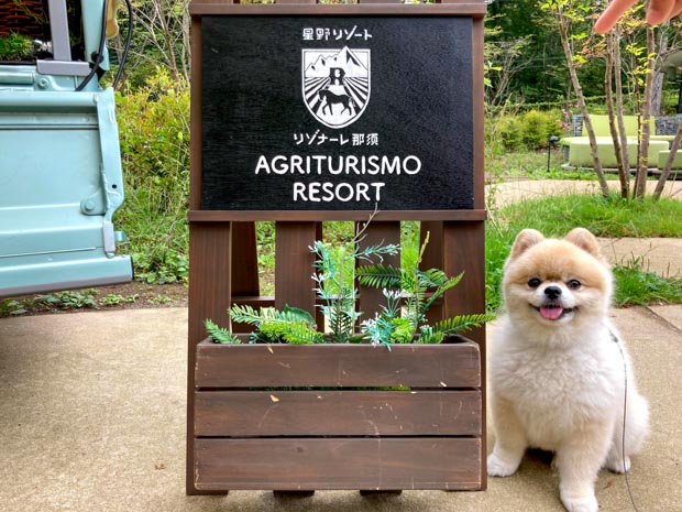 栃木県の犬連れ観光ガイド By トラベルドッグ Jp