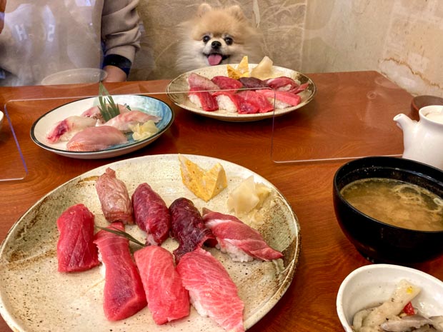 三崎マグロの三崎港