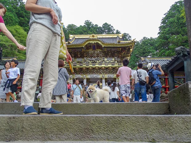 世界遺産 日光東照宮