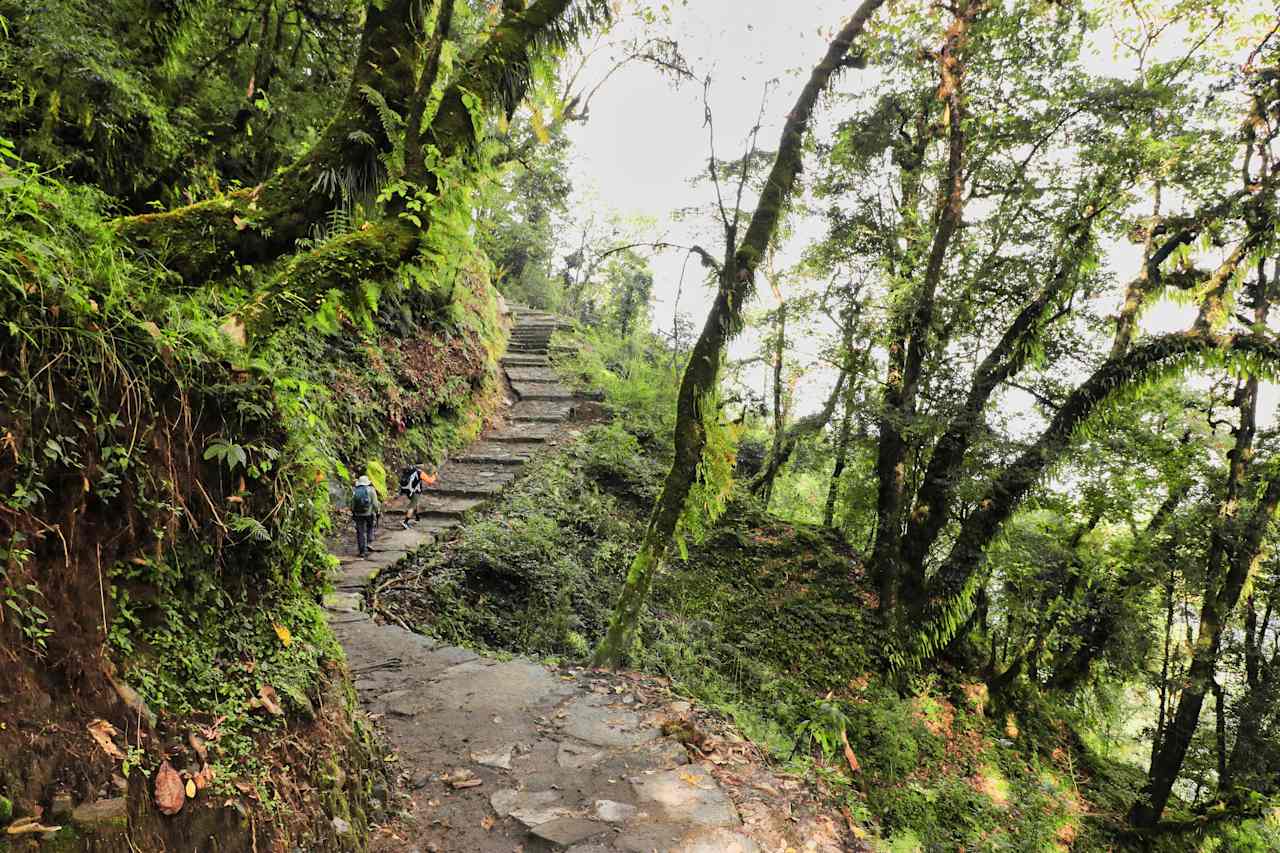 Return to Stillness – Paro