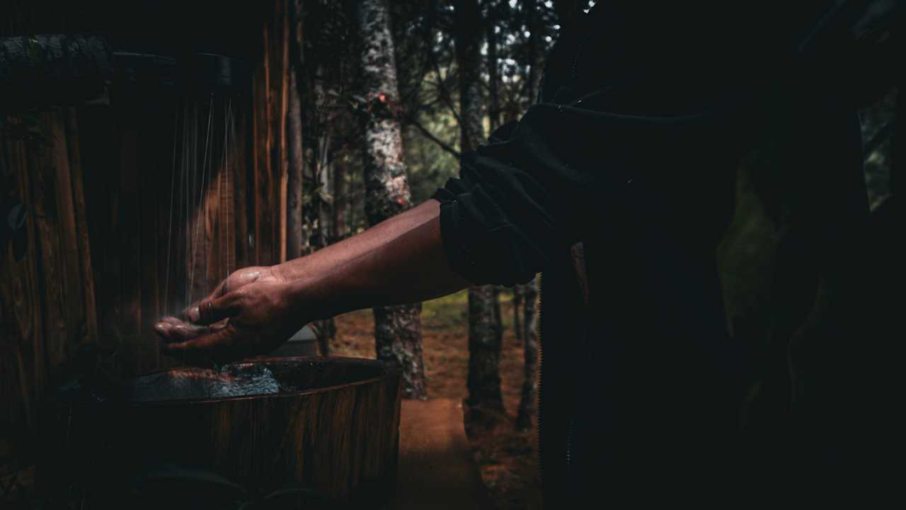 Forest Bathing & Meditation