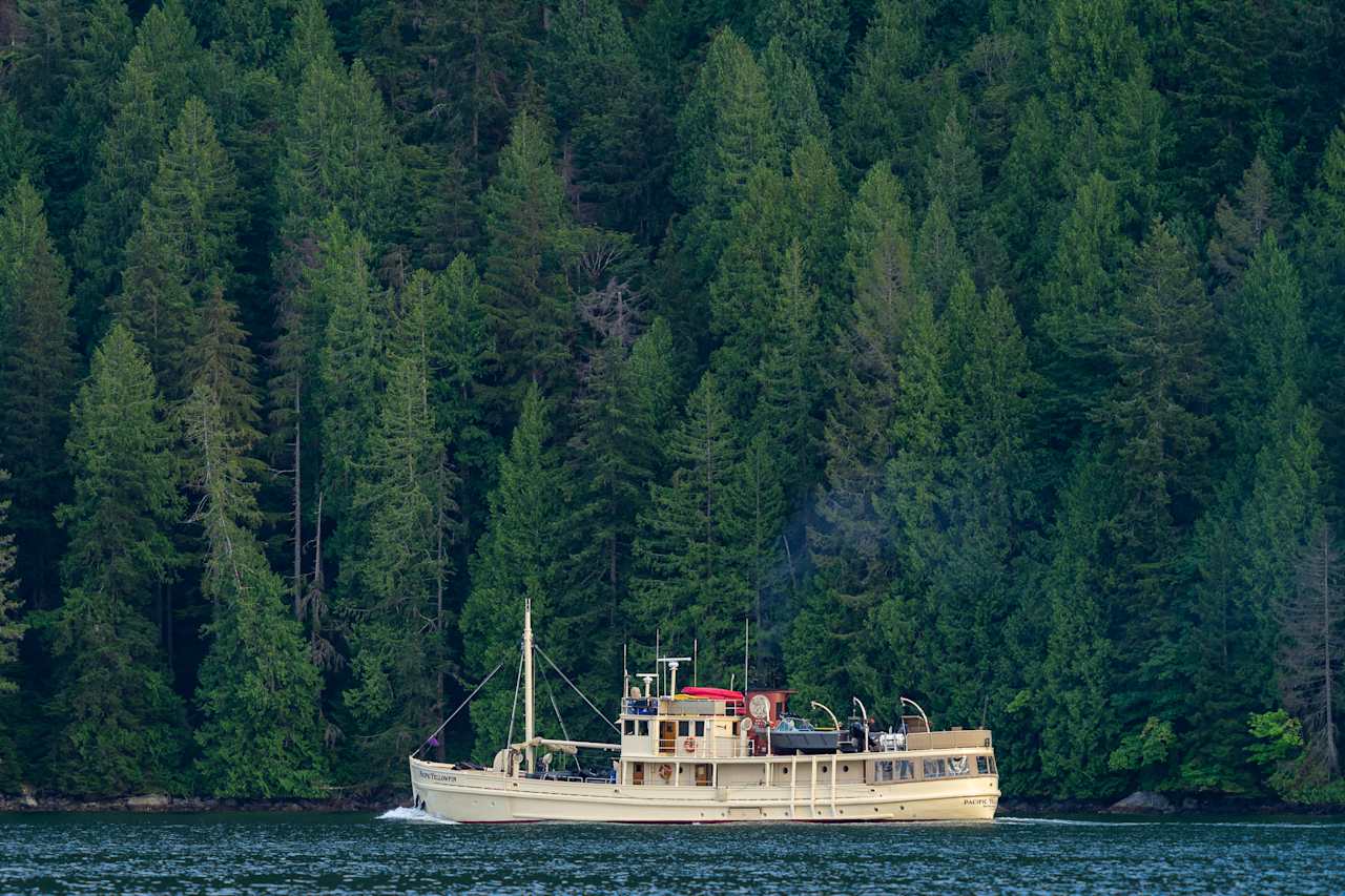 Curated for adventurous exploration
