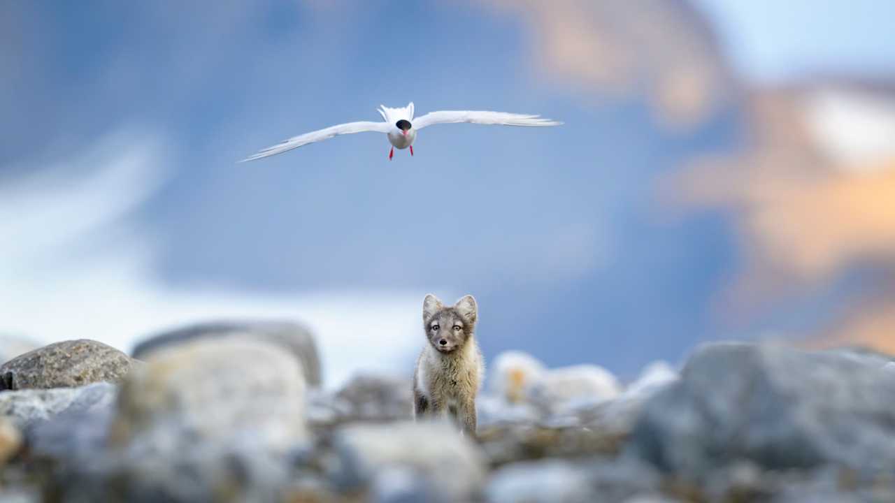Svalbard
