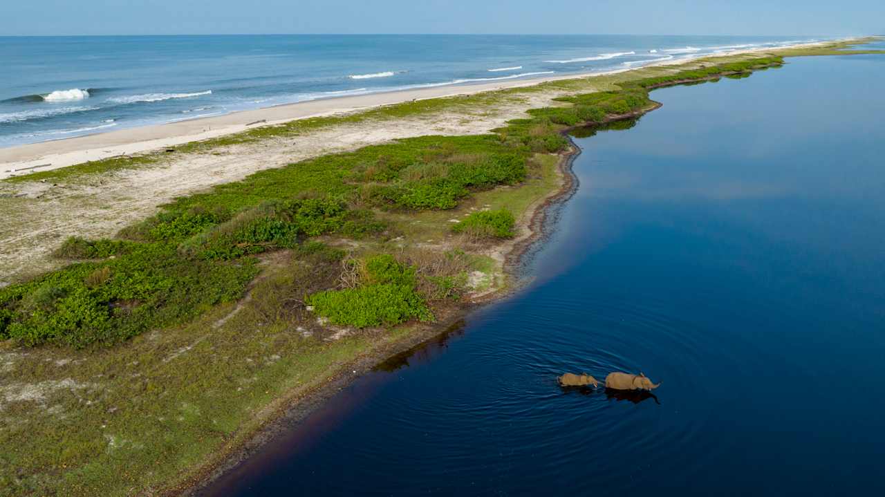 Africa's Last Eden — Loango, Gabon