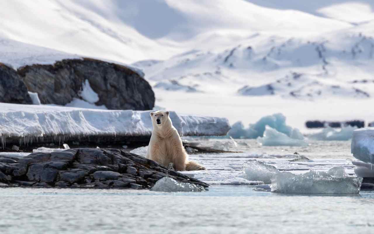 Svalbard