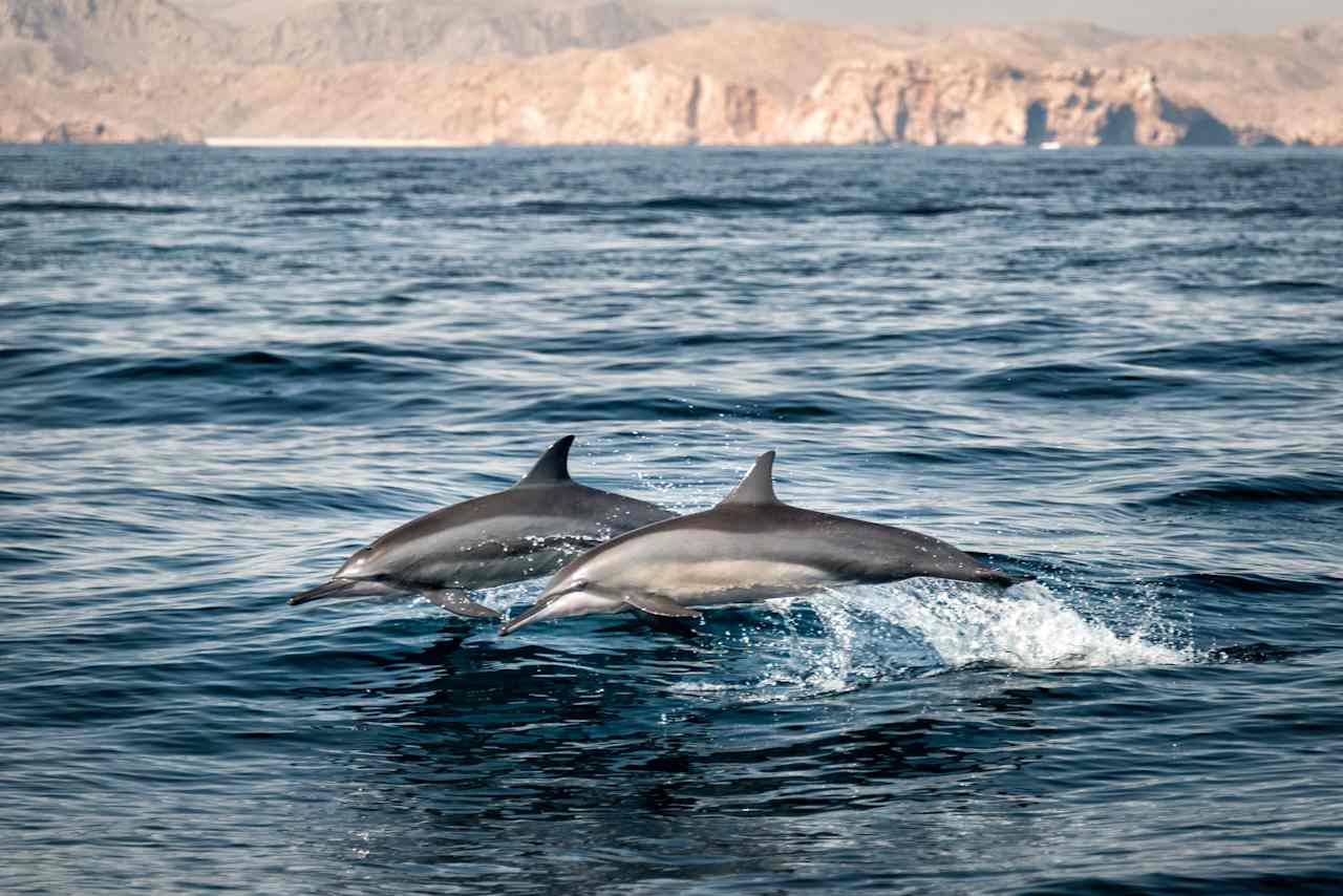 Rare Access to Oman’s Untamed Horizons