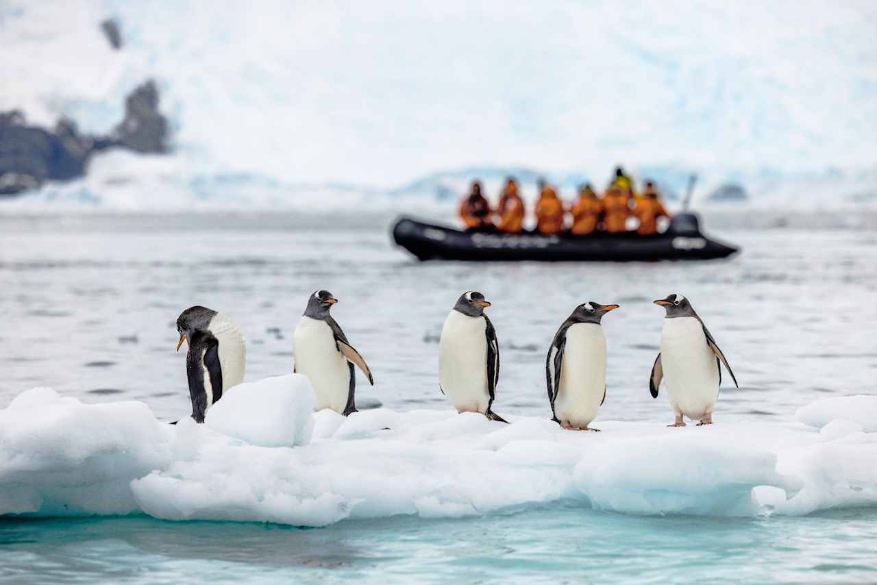 Private Journey to the White Continent