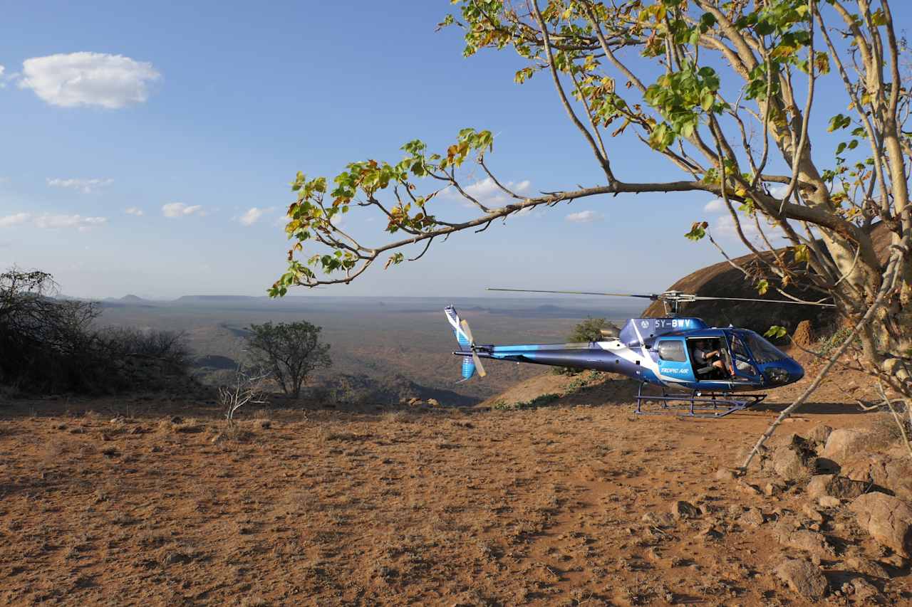 Heli Safaris