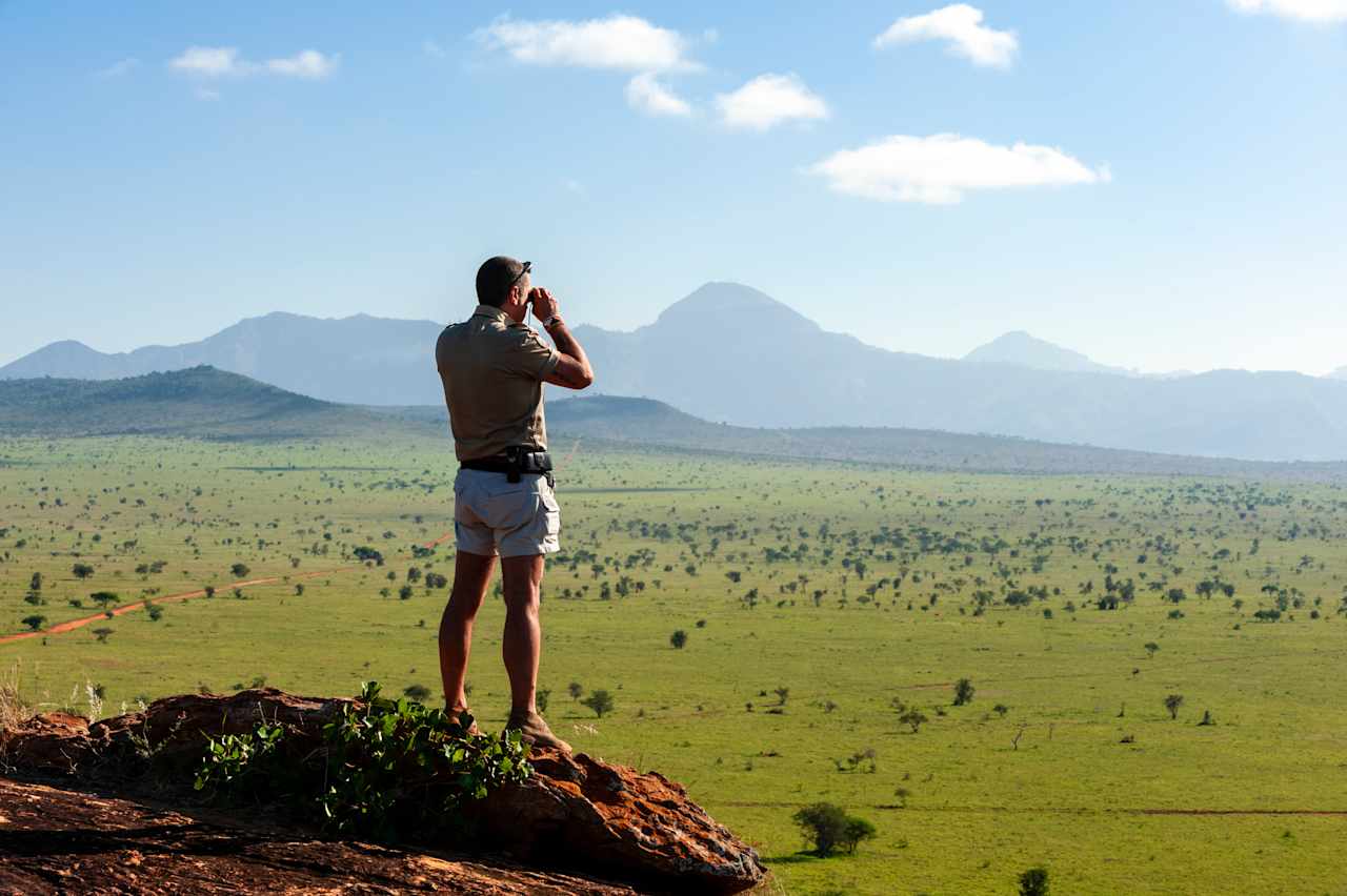 Kenya Safari: Skies & Conservation