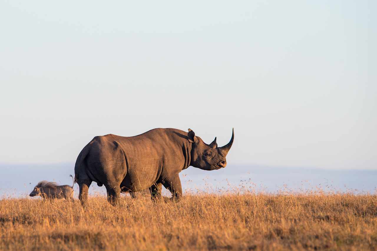 Kenya