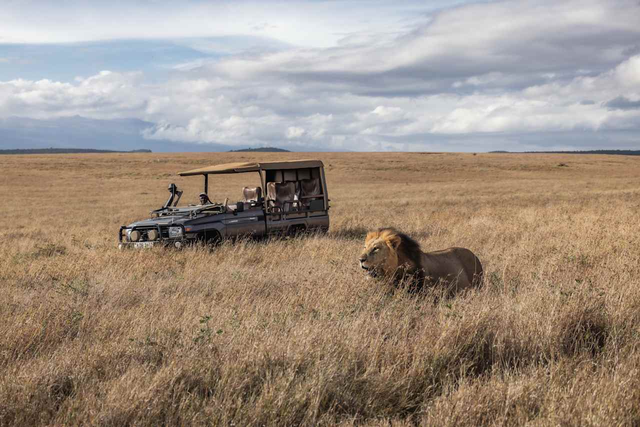 Encounter the Big Five