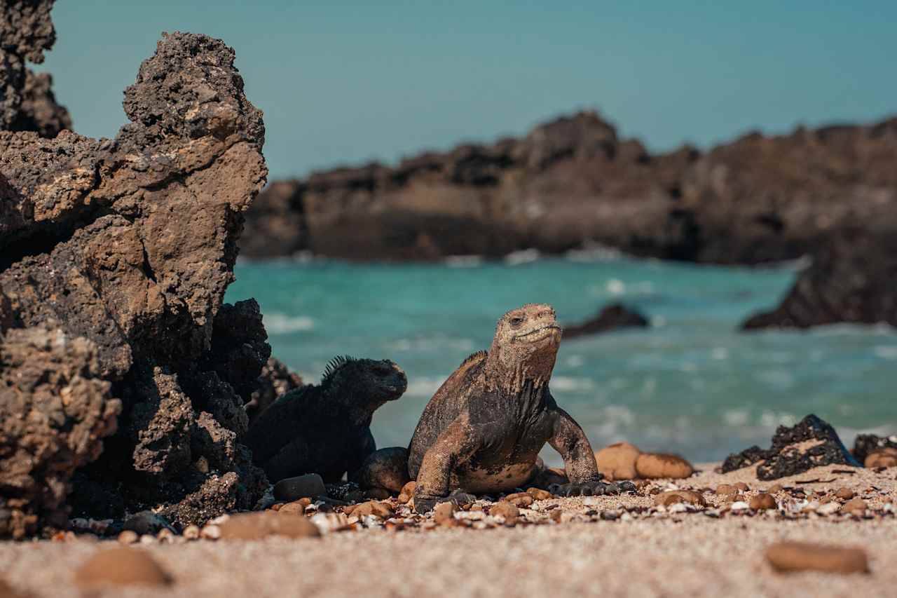 Galápagos Yacht Charter