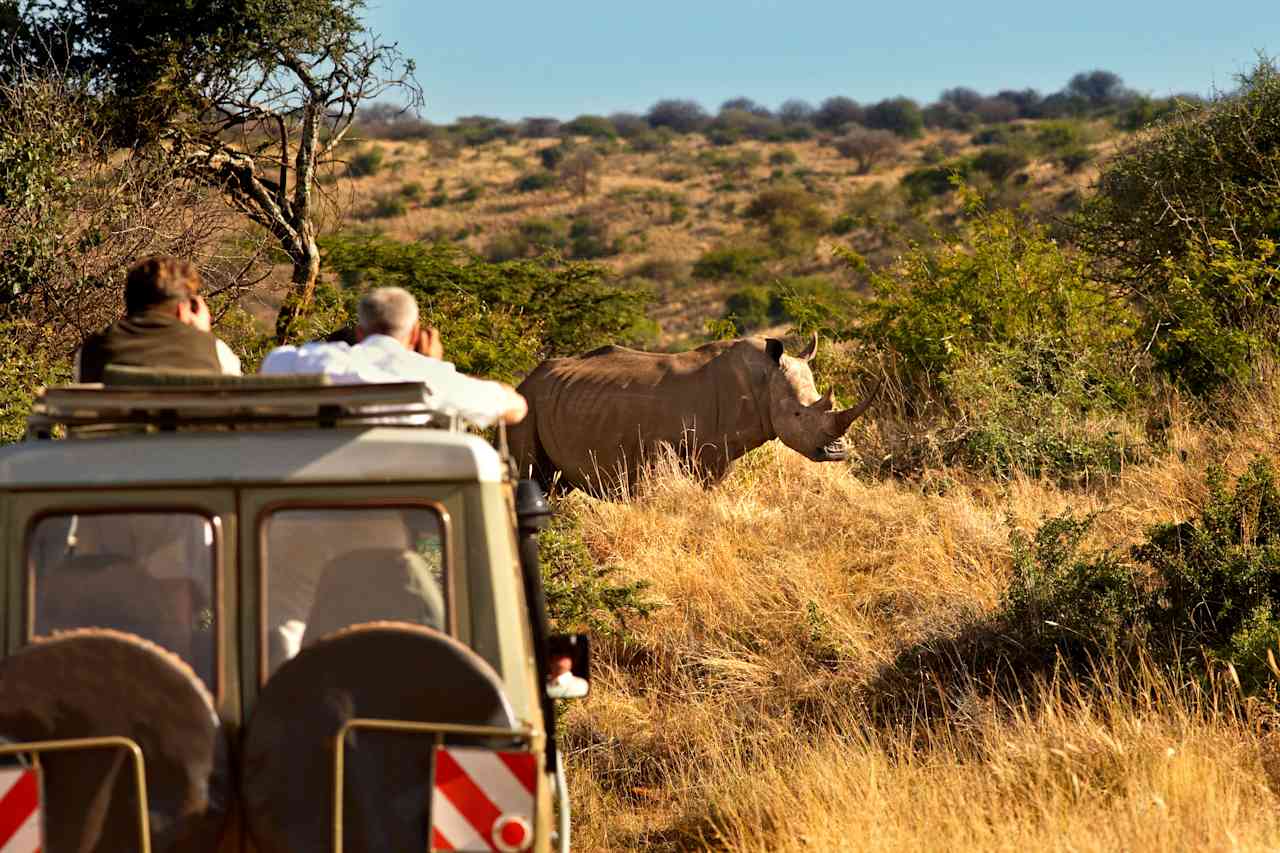 Rhino Tracking