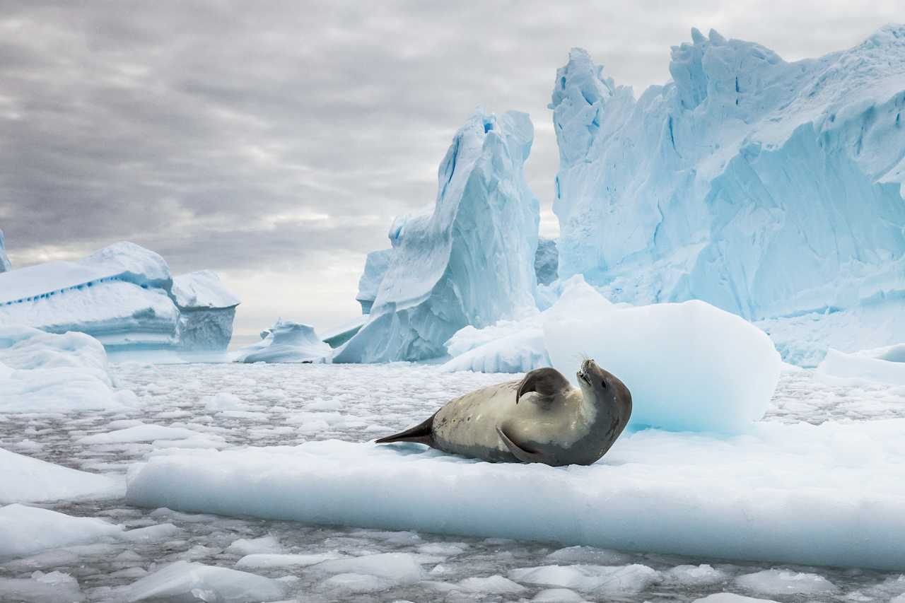 Intimate wildlife viewing