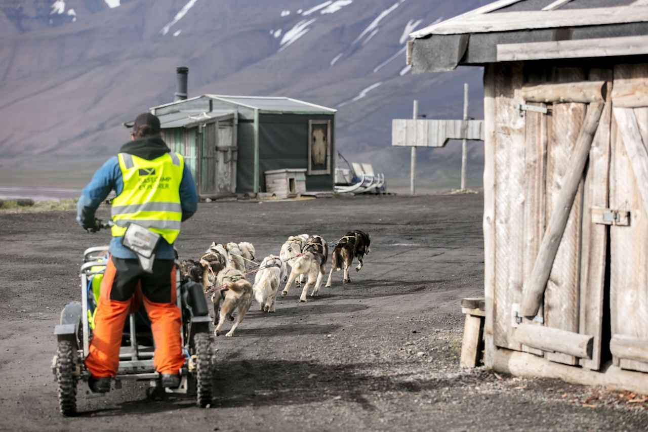Day 2: Dogs, Fjords & Wilderness – Isfjord Radio