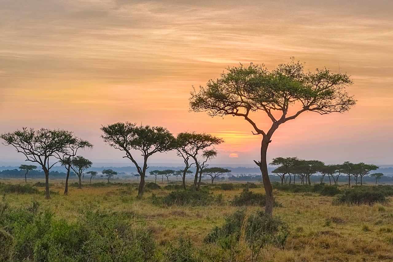 Safari Seclusion – Masai Mara