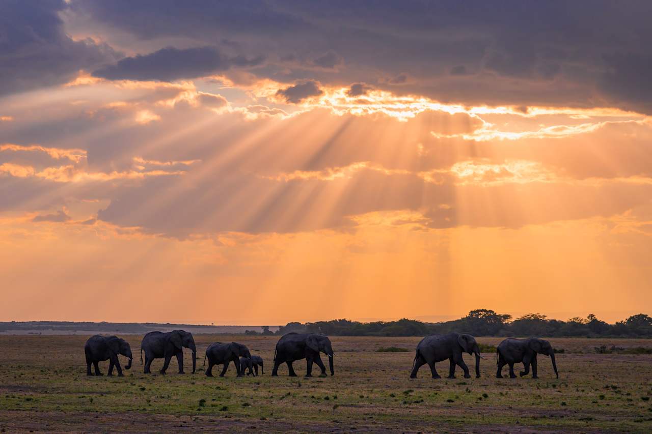 Wilderness Immersion – Masai Mara