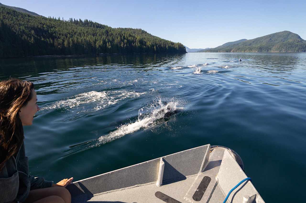 Wildlife by Water