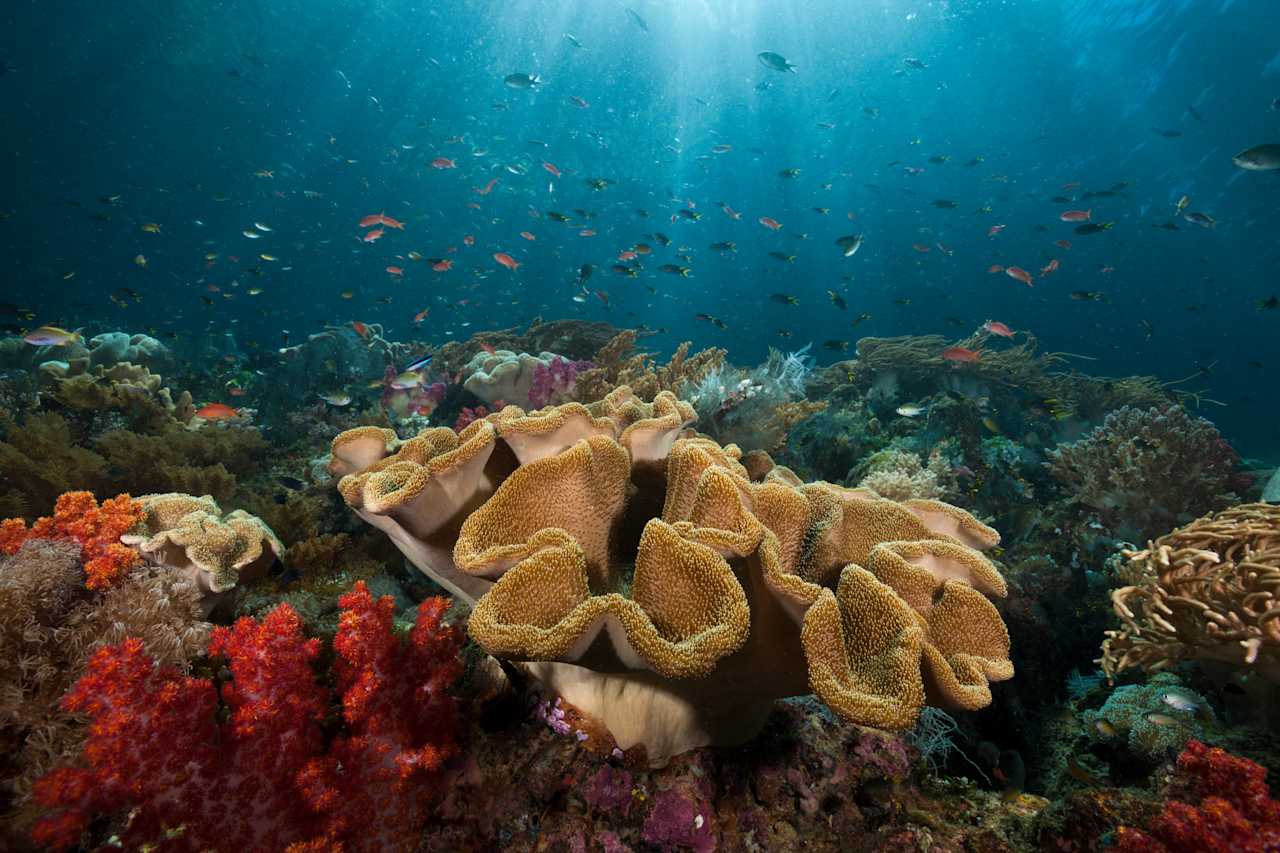 Triton Bay Wilderness