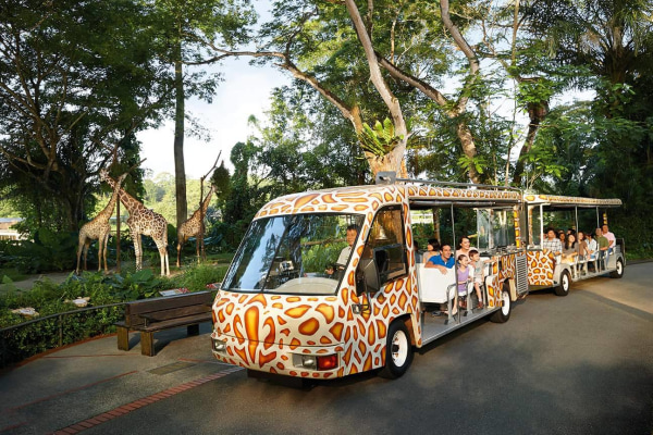 vườn thú singapore