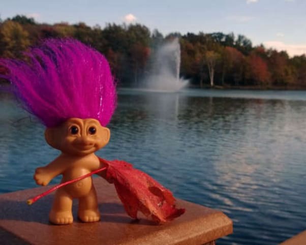 Oswald at Coe Lake in Berea, OH, USA